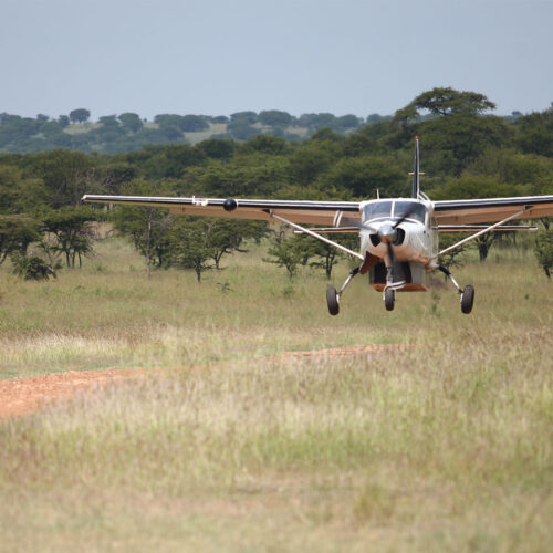 flying safari in tanzania national parks