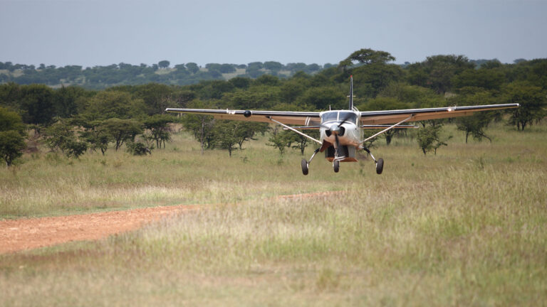 flying safari in tanzania national parks