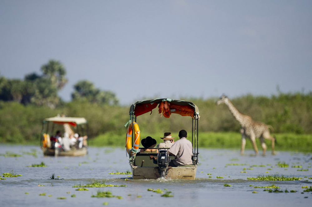 Nyerere Safari