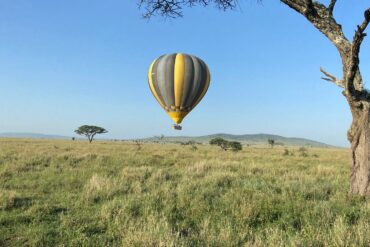 8-Day Northern Safari & Zanzibar