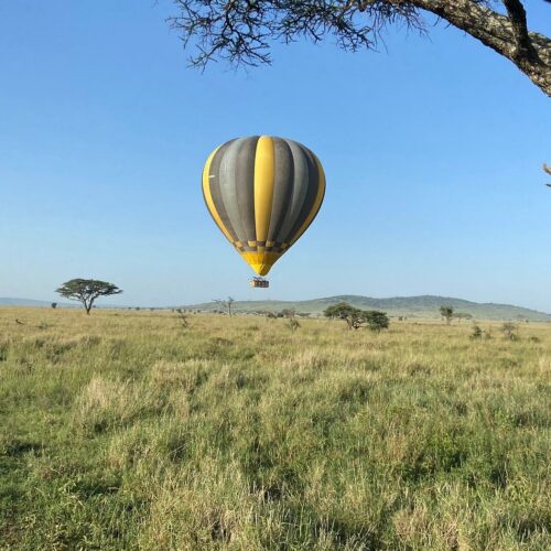 8-Day Northern Safari & Zanzibar