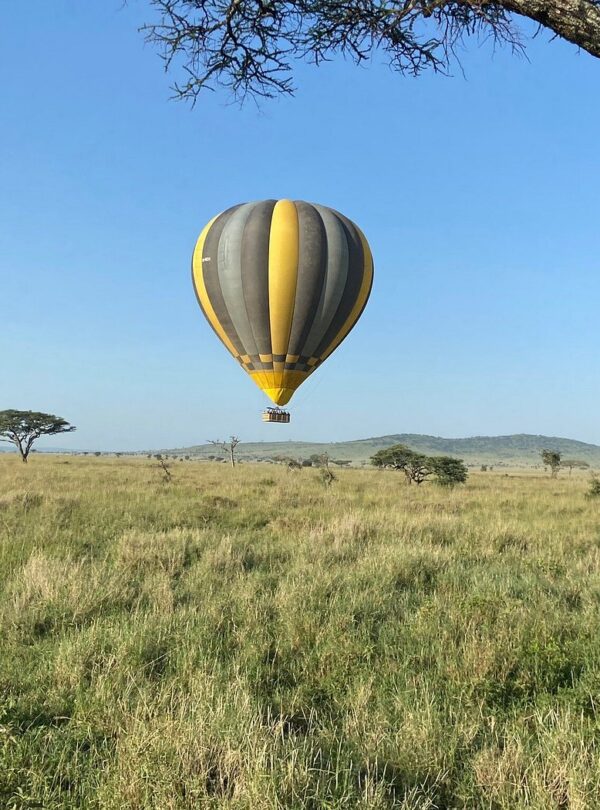 8-Day Northern Safari & Zanzibar