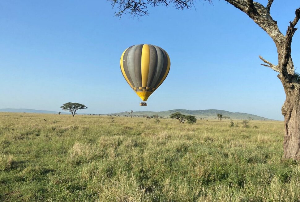 8-Day Northern Safari & Zanzibar