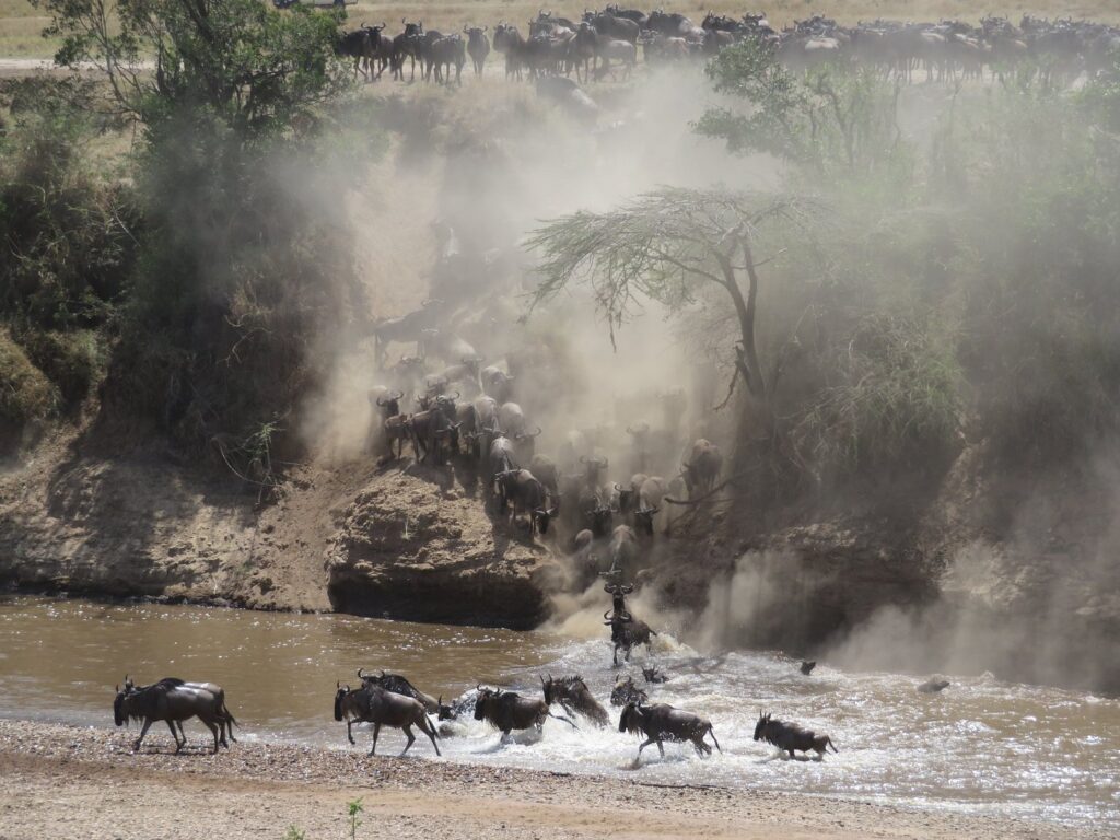 6-Day Serengeti Migration River Crossing Safari (Fly-In from Arusha, Fly-Out to Zanzibar)