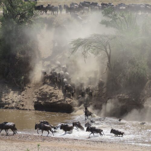 6-Day Serengeti Migration River Crossing Safari (Fly-In from Arusha, Fly-Out to Zanzibar)