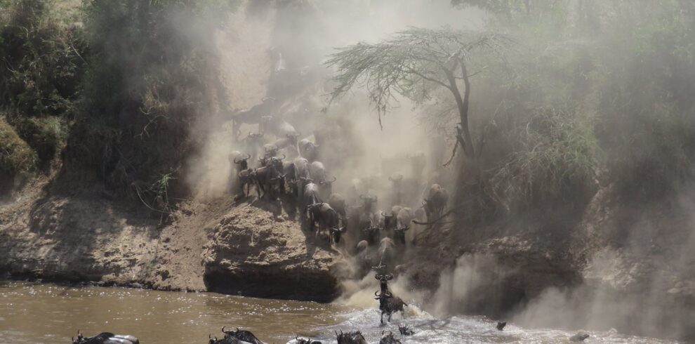 6-Day Serengeti Migration River Crossing Safari (Fly-In from Arusha, Fly-Out to Zanzibar)