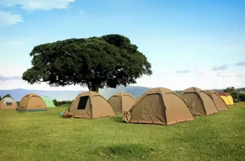 tanzania budget safari