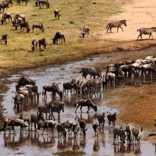 Tarangire National Park