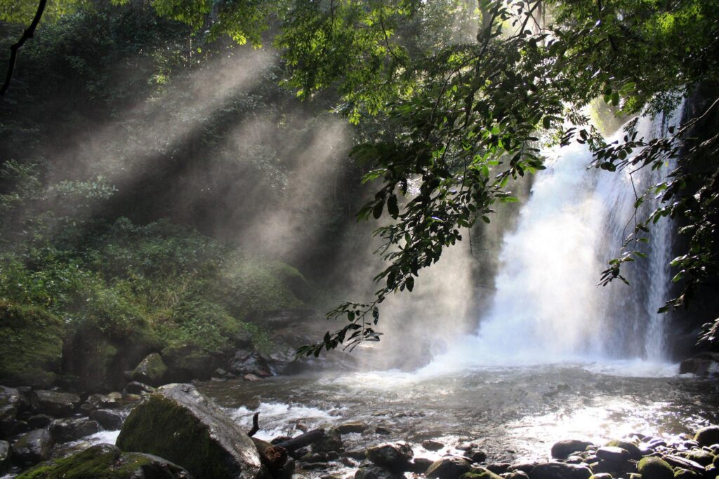 udzungwa mountain national park