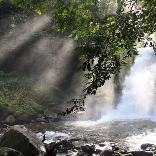 udzungwa mountain national park